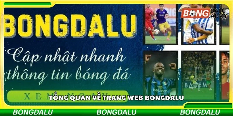 Tổng quan về trang web bongdalu