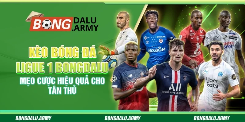 Kèo bóng đá Ligue 1 Bongdalu - Mẹo cược hiệu quả cho tân thủ