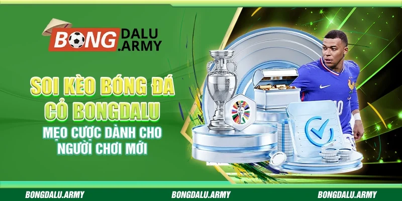 Soi kèo bóng đá cỏ Bongdalu - Mẹo cược dành cho người chơi mới