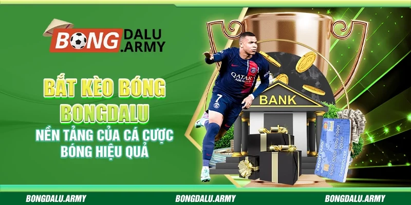 Bắt kèo bóng Bongdalu - Nền tảng của cá cược bóng hiệu quả
