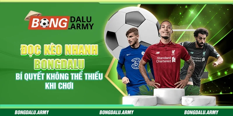 Đọc kèo nhanh Bongdalu - Bí quyết không thể thiếu khi chơi 