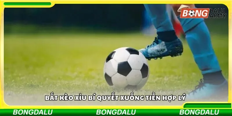 Bắt kèo xỉu bí quyết xuống tiền hợp lý 