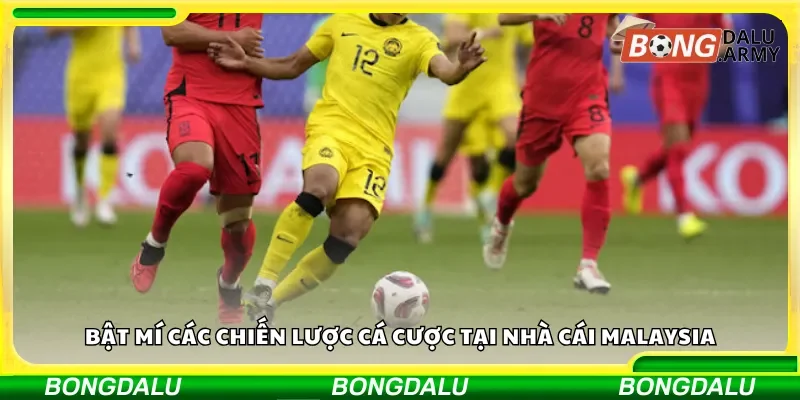 Những mẹo cá cược hiệu quả tại nhà cái Malaysia