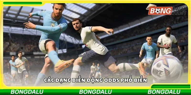 Các dạng biến động odds phổ biến