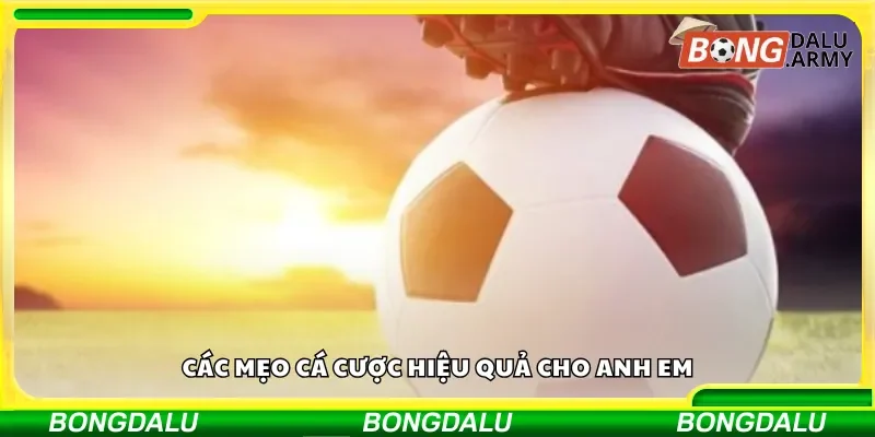 Mẹo chơi cá cược hiệu quả dành cho anh em