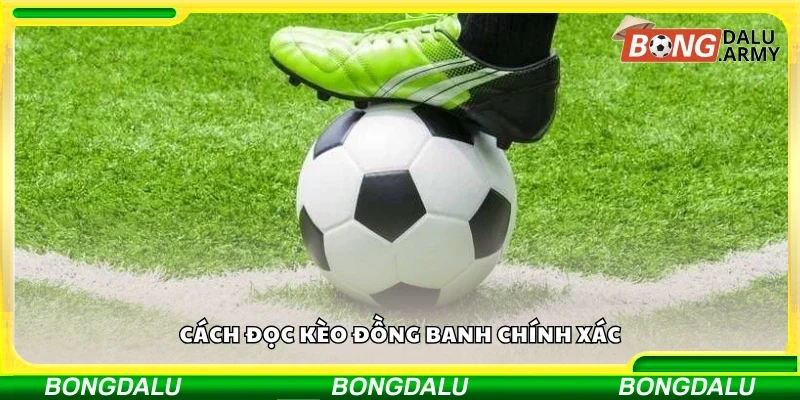 Chi tiết cách đọc kèo đồng banh chính xác