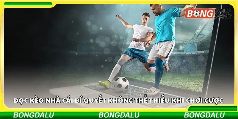 Đọc kèo nhà cái bí quyết không thể thiếu khi chơi cược 