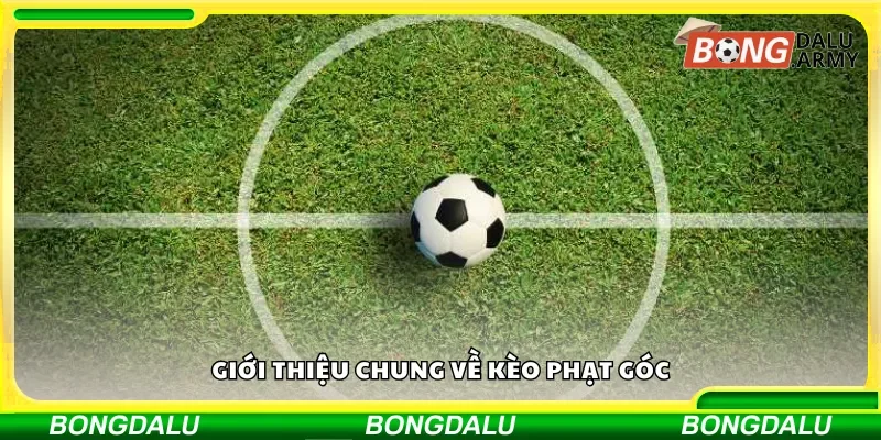 Thông tin cơ bản về kèo phạt góc