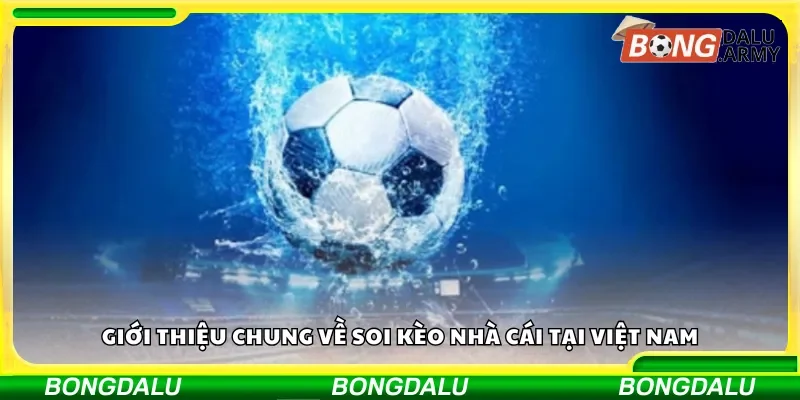 Tổng quan hoạt động soi kèo nhà cái ở Việt Nam