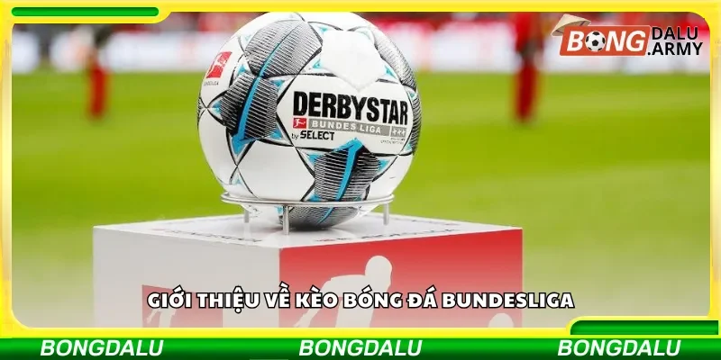 Khám phá giải Bundesliga