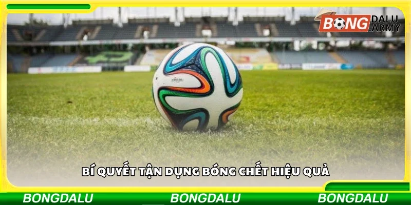 Kinh nghiệm tận dụng bóng chết hiệu quả