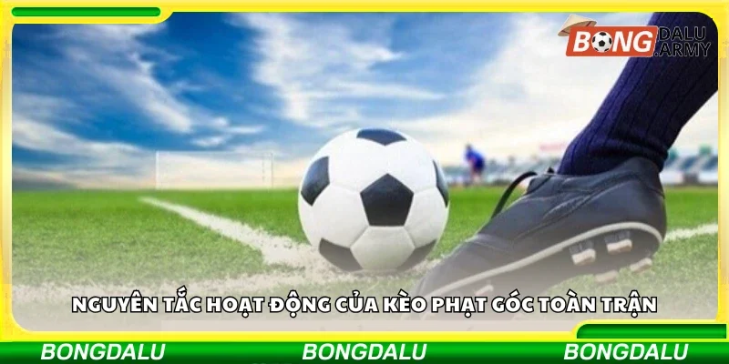 Nguyên tắc hoạt động của kèo phạt góc toàn trận