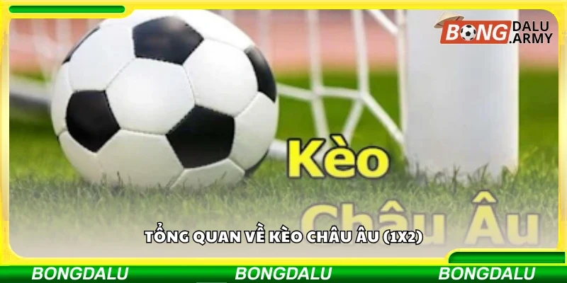 Tìm hiểu tổng quan về kèo châu Âu (1X2)