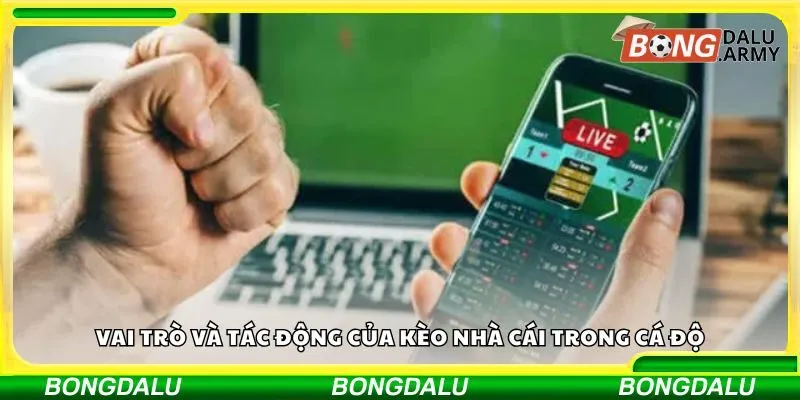 Vai trò và tác động của kèo nhà cái trong cá độ