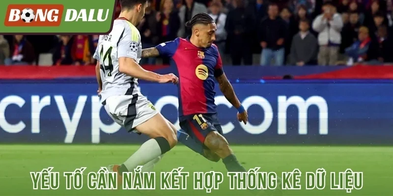 Yếu tố cần nắm kết hợp thống kê dữ liệu