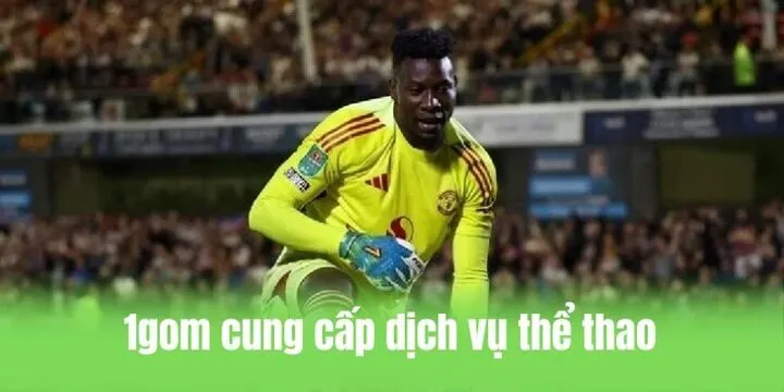 1gom cung cấp dịch vụ thể thao đảm bảo chất lượng