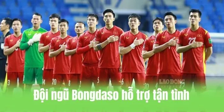 Cần làm gì để được hỗ trợ tại Bongdaso?